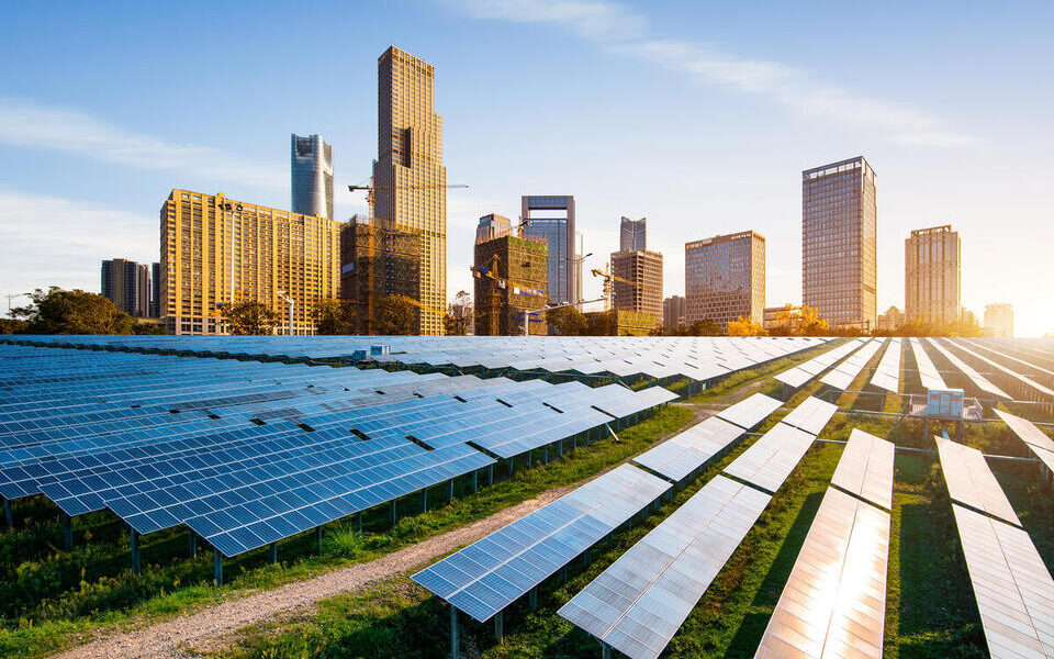 Sustainability & Biodiversity